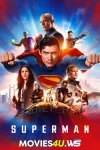 superman.webp.webp