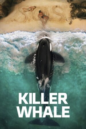 Killer20Whale.jpg