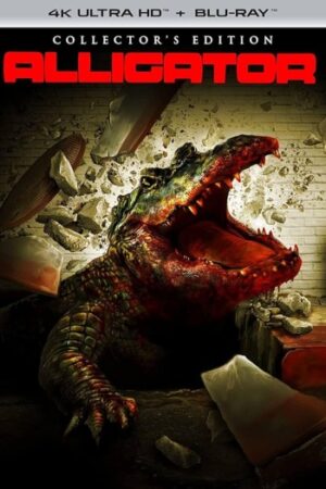 Alligator.jpg