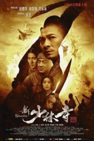 Shaolin20201120Hindi.jpg