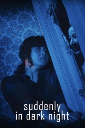 Suddenly20in20the20Dark.jpg