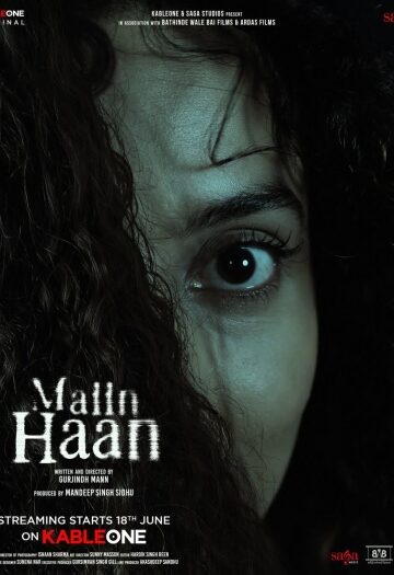 Maiin20Haan202026.jpg