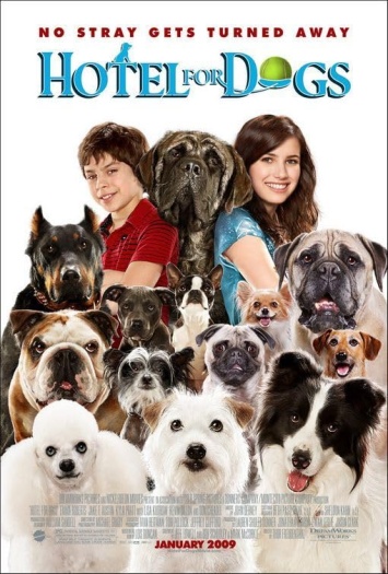 Hotel20for20Dogs.jpg