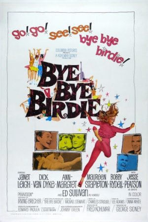 Bye20Bye20Birdie201963.jpg